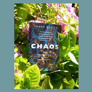 Chaos